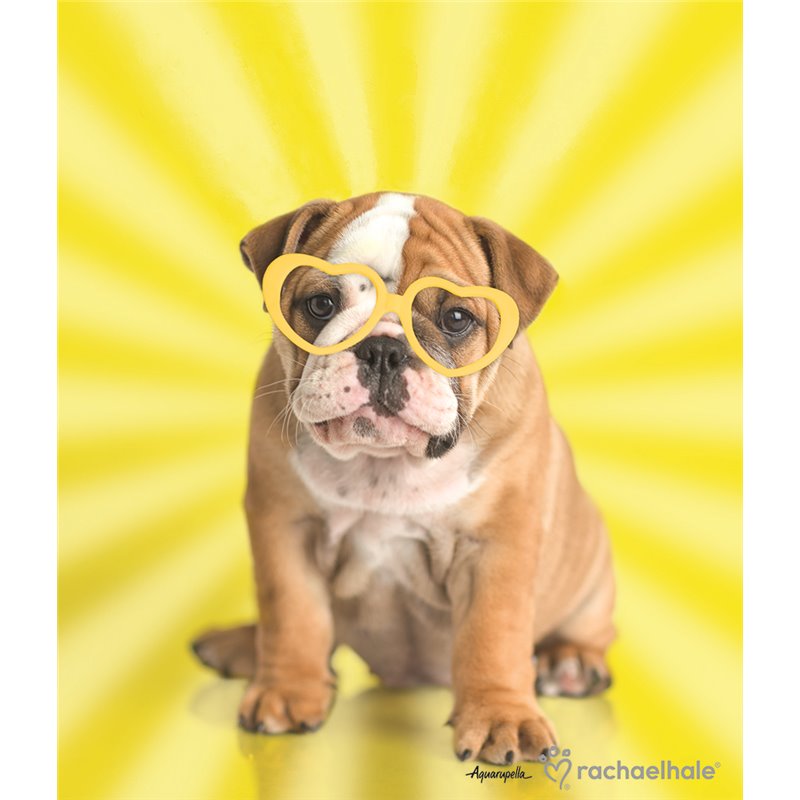 Πανί Μικροΐνες Σκυλάκι Με Γυαλιά Pictura