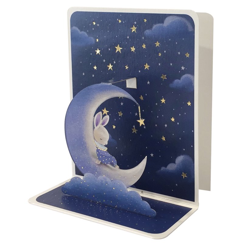 Ευχετήρια Κάρτα 3D 10x12 Μπλε Λαγός Στο Φεγγάρι Pictura
