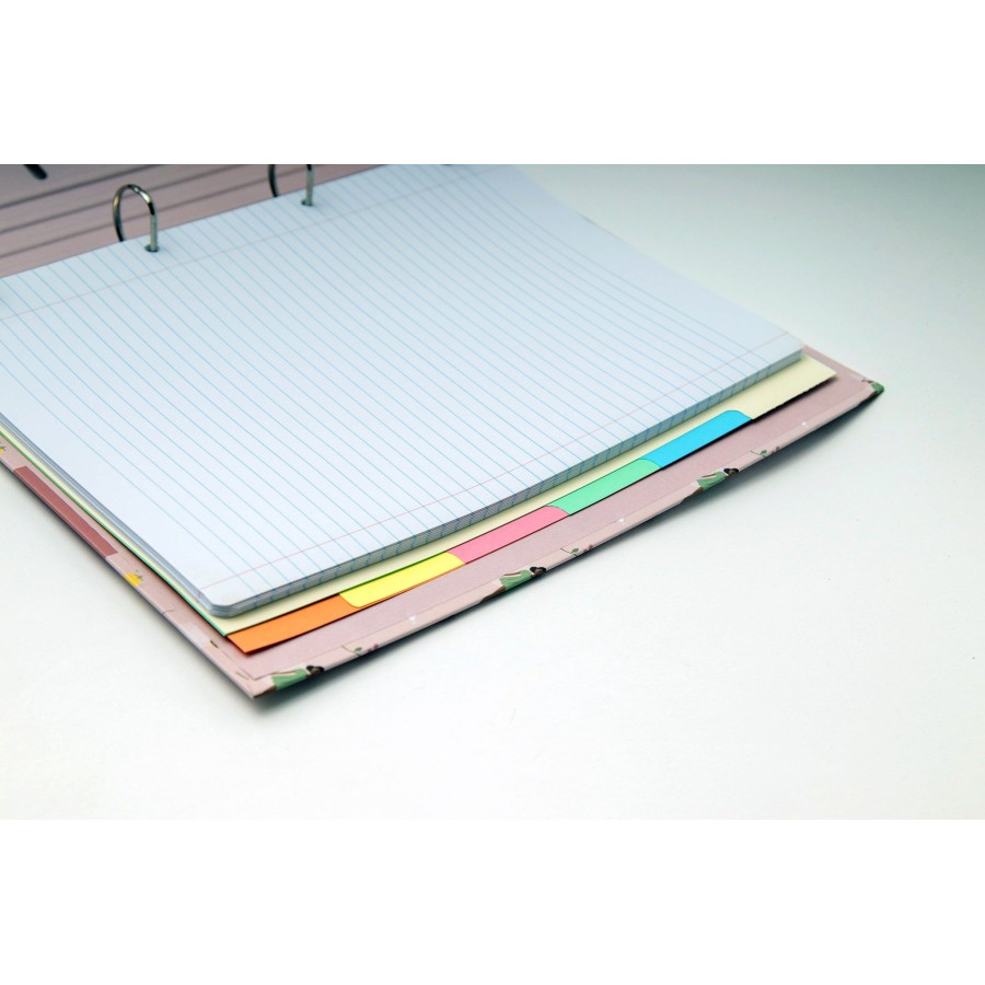 Κλασέρ 4 Κρίκων Με Διαχωριστικά Α4 B'LOG Fairies Tale Ancor