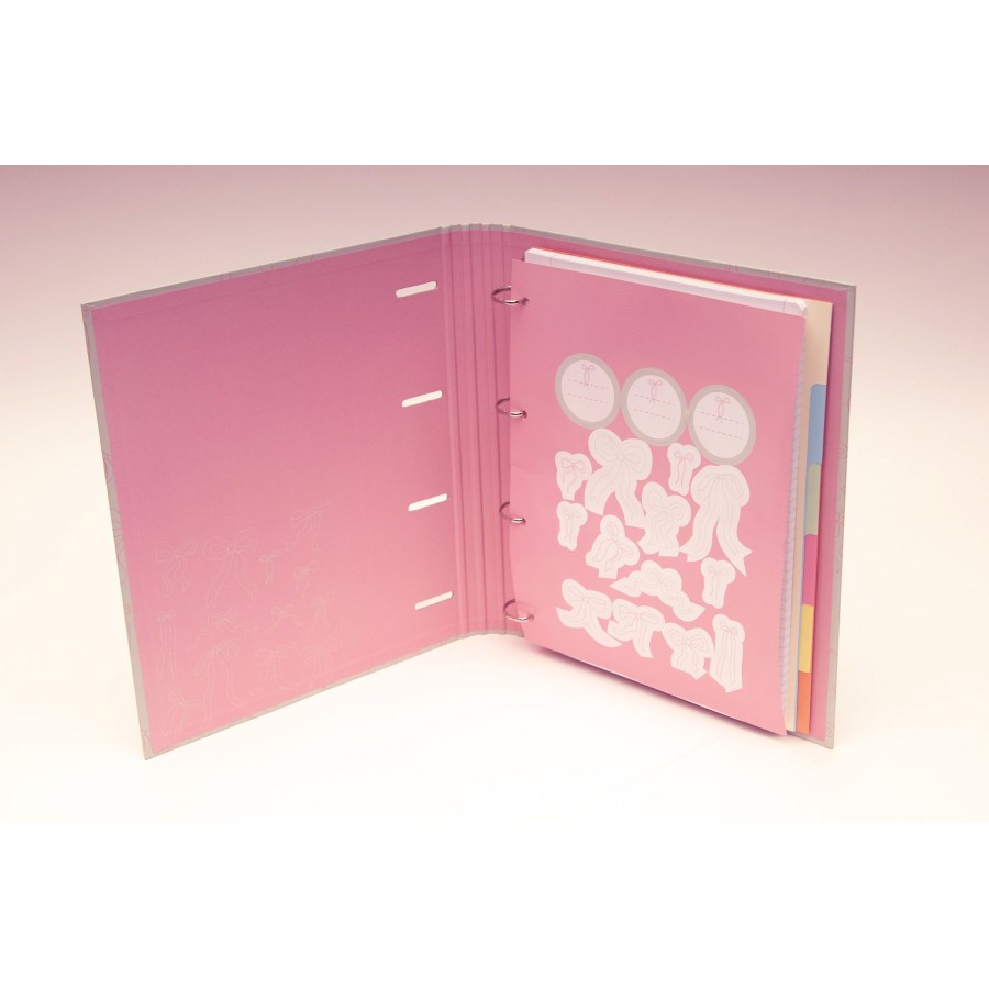 Κλασέρ 4 Κρίκων Με Διαχωριστικά Α4 B'LOG Laces Pink Ancor