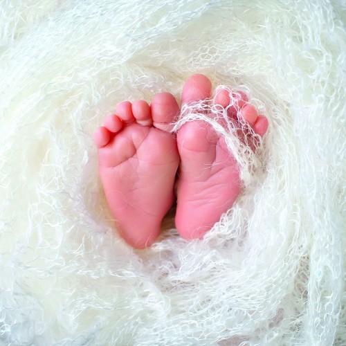 Ευχετήρια Κάρτα Διπλή 16x16 Πατουσάκια Pictura